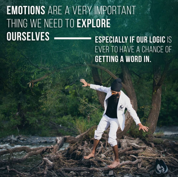 Don't Fight Your Emotions