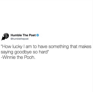 Don't Judge the Short Term